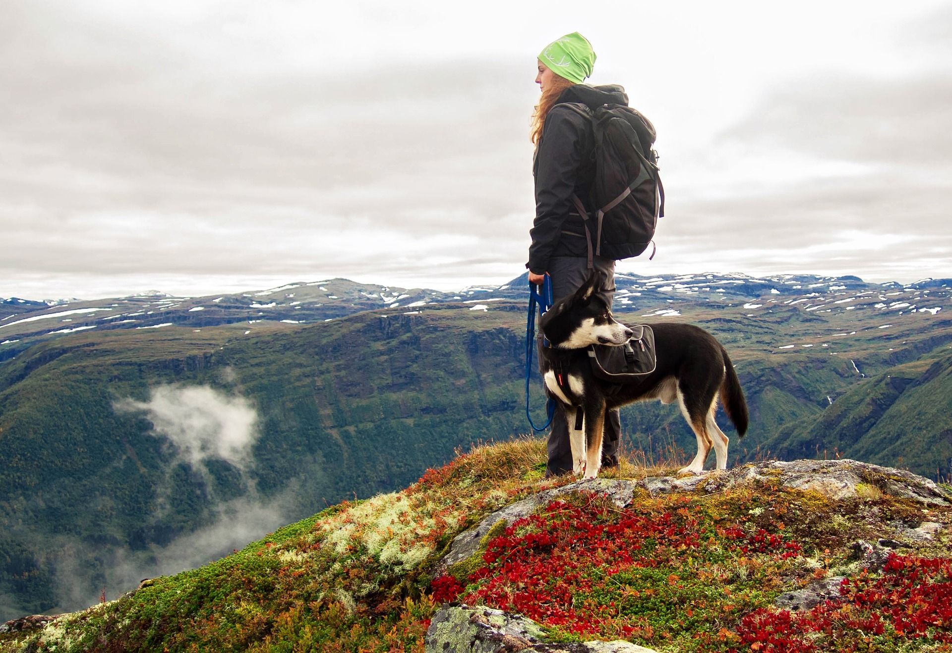 Hiker with dog at the top of a mountain